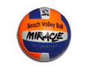 Volley Ball